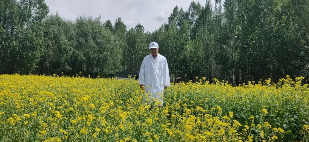 順動(dòng)新作|遇見五月的西藏